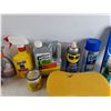Image 3 : Raid Window Fly Trap, Heavy Duty Oven Cleaner, Large Sponge, WD40, 3 in 1 Silicone Lubricant, Misc