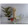 Image 1 : Artificial Plant, Paper Cups with Lids, Bottle Opener, Ceramic Plates, Glass Beerstein, Misc