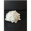 Image 2 : Decorative Seashell 6.75"