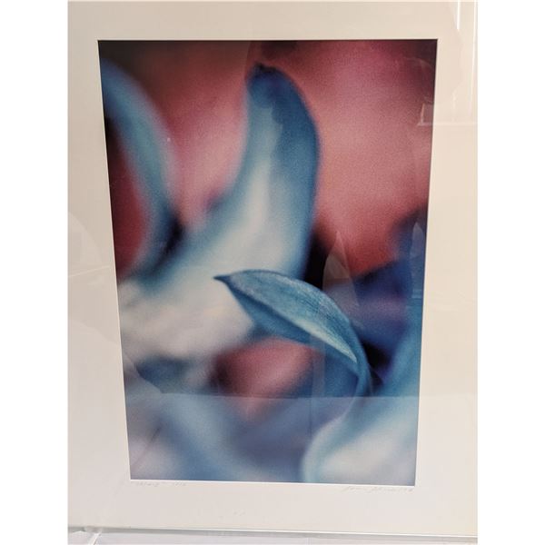 SAM SHORT CIBACHROME 1997 ORCHID PHOTO 1/10 PRINT.