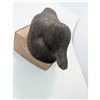 Image 5 : ANTIQUE WOODEN DUCK DECOY