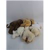 Image 2 : (5) Stuffed Toys (3-Bears, 2-Lambs)