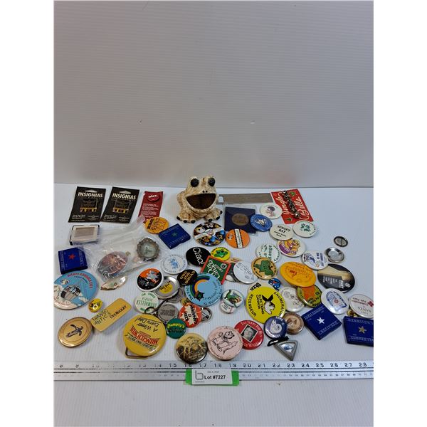 Various Collector Pins & Frog Kitchen Sponge Holder