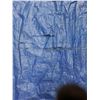 Image 3 : Tarps (2) approx 7'x9' -As Is
