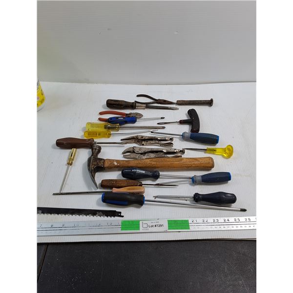Various Handtools - Hammer, Screwdrivers, pliers - As Is