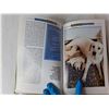 Image 4 : Dr. Ackerman's Book of Labrador Retrievers