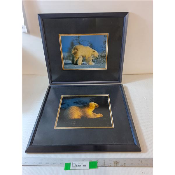 (2) Framed Polar Bear Photos 17.25" x 15.5