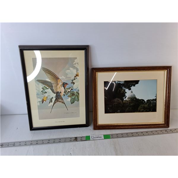 Framed Swallow Painting & St. Peter's Basilica Framed Photo Up to 16.5" x 12"