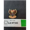Image 1 : Los Firebirds Decorative Pin
