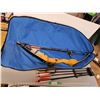 Image 1 : 44" Compound Bow, Case & (10) Arrows 30 & 32", Cannot Ship