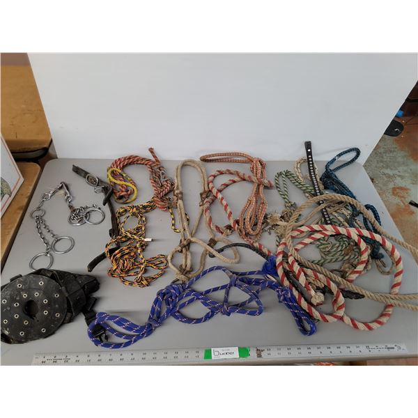 Horse Halters, Hobbles, Misc.