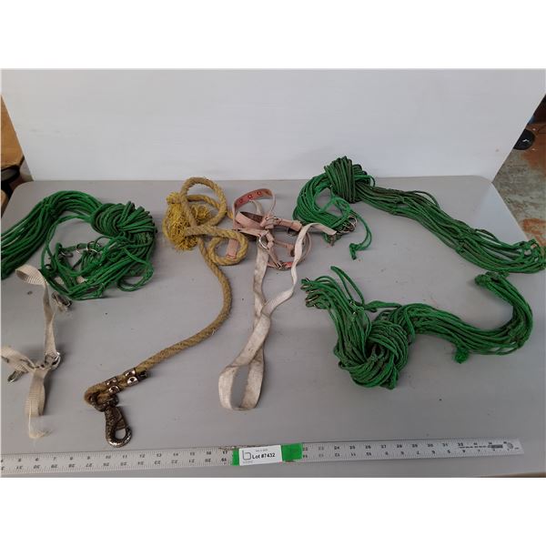 Horse Halter, Hay Nets, Misc.
