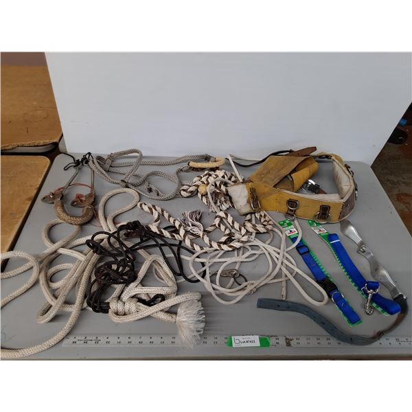 Horse Lead Rope, Dog Collars, Misc. & Tote. Cannot Ship