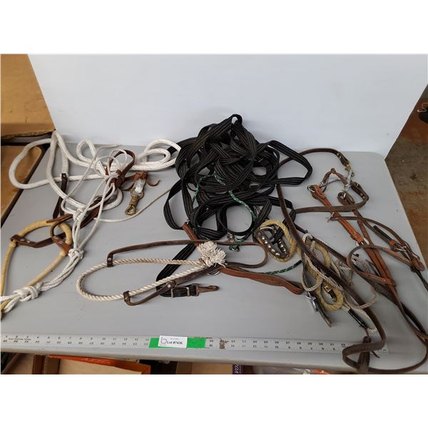 Horse Hackamore Set, Bridle, Misc.