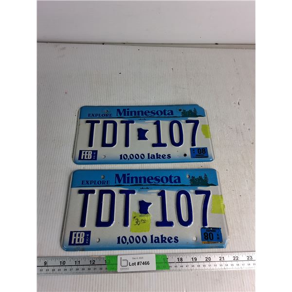 (2) Metal License Plates- Minnesota, 12" By 6.5"