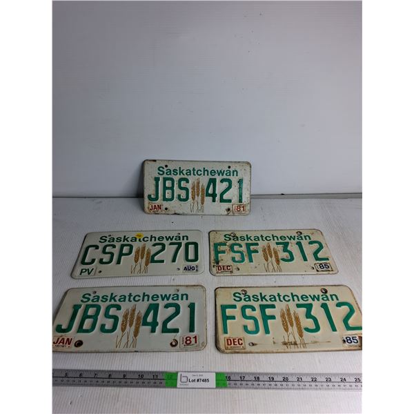 (5) Saskatchewan License Plate