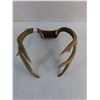 Image 2 : 9-Point Antelope Antler Rack - 12x11x8"