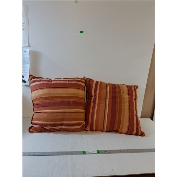 (2) Decorative Pillows 17"x17"