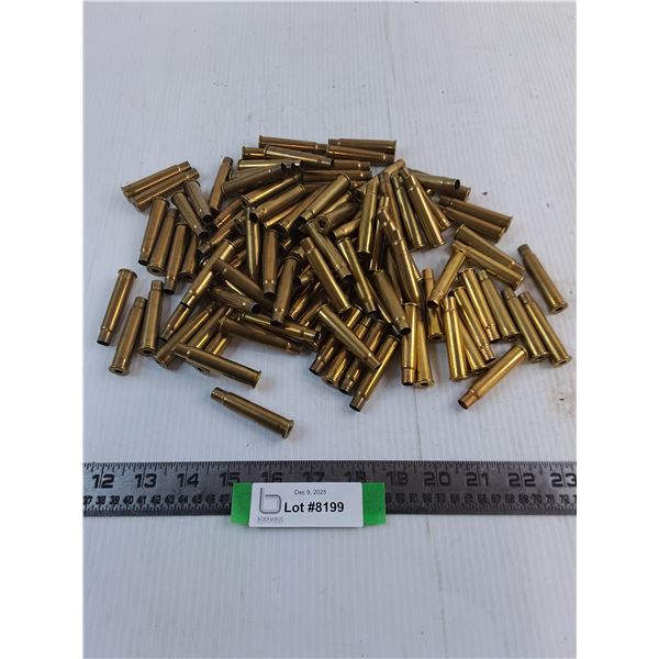 Large Quantity of 303 Shell Casings - PAL Required