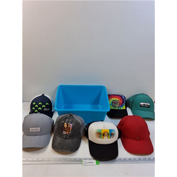 (7) Baseball Hats w/Storage Container