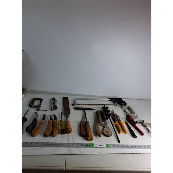 Clamp, Rasp, (4) Hoof Knives, Screwdriver,  Steel Brush, Misc