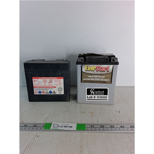 GS Valve Regulated Lead-Acid Battery, Everstart Power Sport Battery - PICK UP ONLY