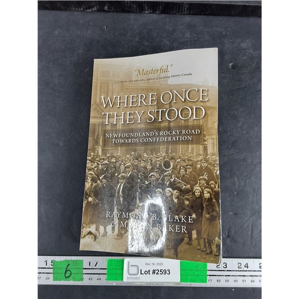 Where Once They Stood - Newfoundland's Rocky Road Towards Confederation Book