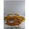 Image 1 : Extension Cords - Approx 45', As Is