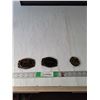 Image 1 : (3) Metal Belt Buckles- RM of Val Marie, The Western Producer,  National Sportsman
