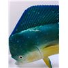 Image 2 : # Mahi-Mahi Fish Mount (Resin), Some Wear as Pictured - 51" x 18" - CANNOT SHIP