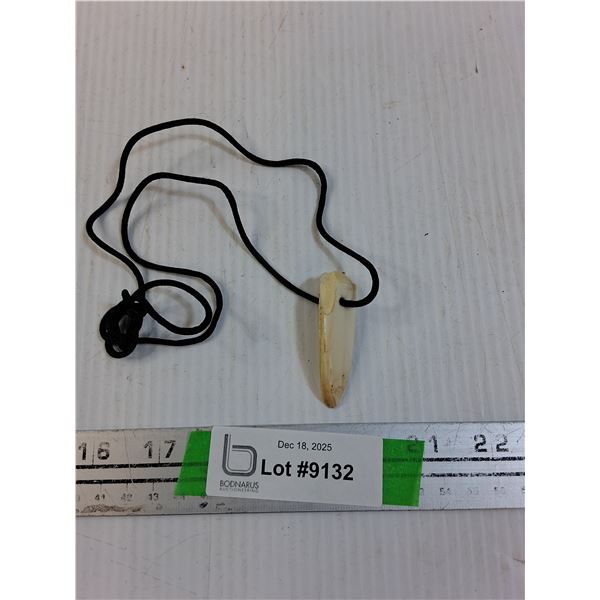 Animal Tooth Necklace, Possible Boar or Bear, Tooth 2" Long