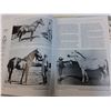 Image 3 : (3) Horse Books- King, More than Color, Legends