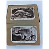 Image 2 : Vintage Photo Album & Animal Photos