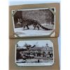 Image 4 : Vintage Photo Album & Animal Photos