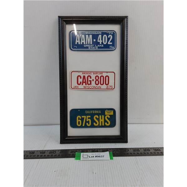 Framed Set of 3 Miniature US State License Plates - 7.5" x 13.5"
