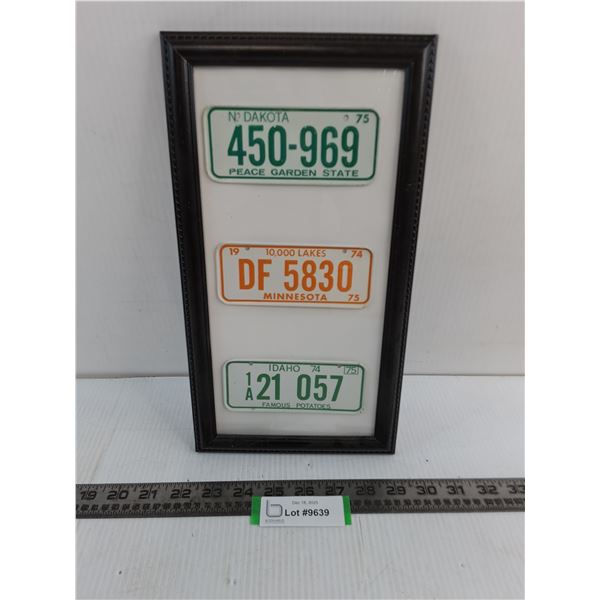 Framed Set of 3 Miniature US State License Plates - 7.5" x 13.5"