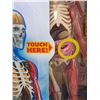Image 4 : Smart Lab In Box 29-Piece "Squishy Human Body"-Opened but Complete