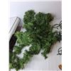 Image 3 : Christmas Lot- (2) Strands of Lights, Tree Style Garland, Basket- All Power On