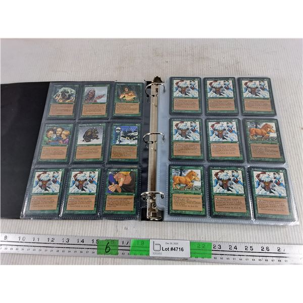 Magic the Gathering Trading Cards Collection - Cannot Authenticate