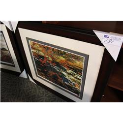 Limited Edition Print "Red Maple" By