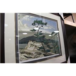 Limited Edition Print "White Pine" 525/795