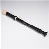 Image 1 : LMI Black Plastic Soprano Recorder with Case