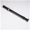 Image 3 : LMI Black Plastic Soprano Recorder with Case