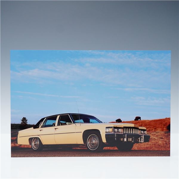 Photograph on Metal Plate, Large & Slow in Yellowstone