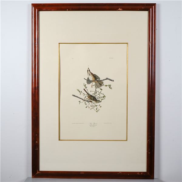 Framed Song Sparrow by John James Audubon, Photo Offset Lithograph 1971