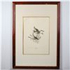 Image 1 : Framed Song Sparrow by John James Audubon, Photo Offset Lithograph 1971