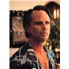 Image 1 : The White Lotus Walton Goggins signed photo
