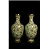 Image 1 : Pair of Cloisonné Vases with Plum Blossom Design