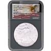 Image 1 : 2021 Silver Eagle NGC MS70 Heraldic Eagle T-1
