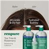 Image 7 : RenPure Tea Tree & Rosemary Rebalancing Shampoo & Conditioner Set (710ml) - New